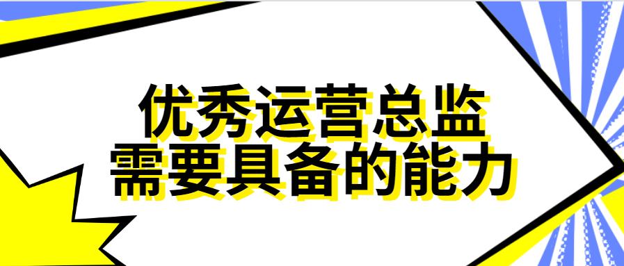 优秀的电商运营总监需要的五个能力.jpg