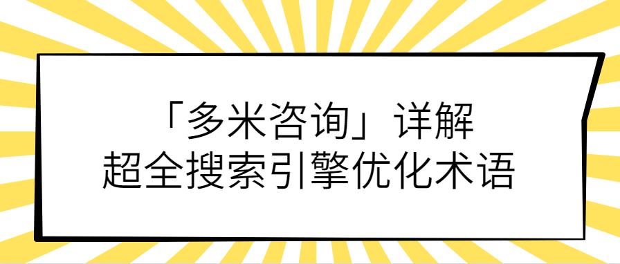 「多米咨询」详解超全搜索引擎优化术语.jpg